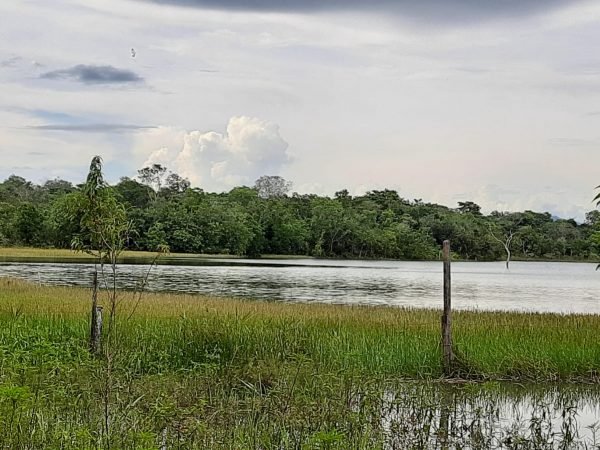 Fazenda 39 alq (192 ha) na beira do Lago de Minaçu/GO 4 aptidões