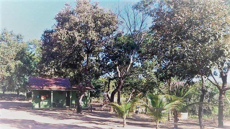 Fazenda de 617 alq. (2.985,27 ha) a 80 Km de Minaçu/GO