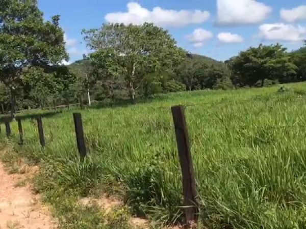 Fazenda 217 ha (45 alq) em Cavalcante divisa c/ Minaçu/GO
