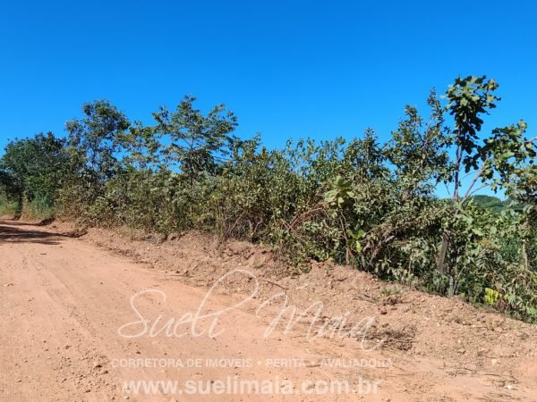 VENDE-SE 2 ALQUEIRES A 100M DA GO 241