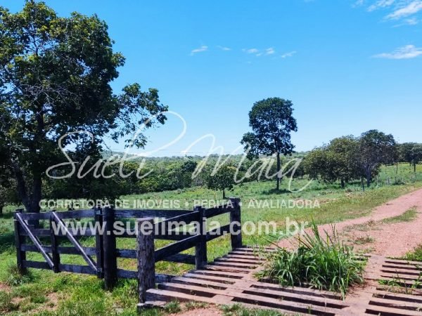 Fazenda de 12,95 alq (62,70ha) Dupla aptidão – Minaçu/GO
