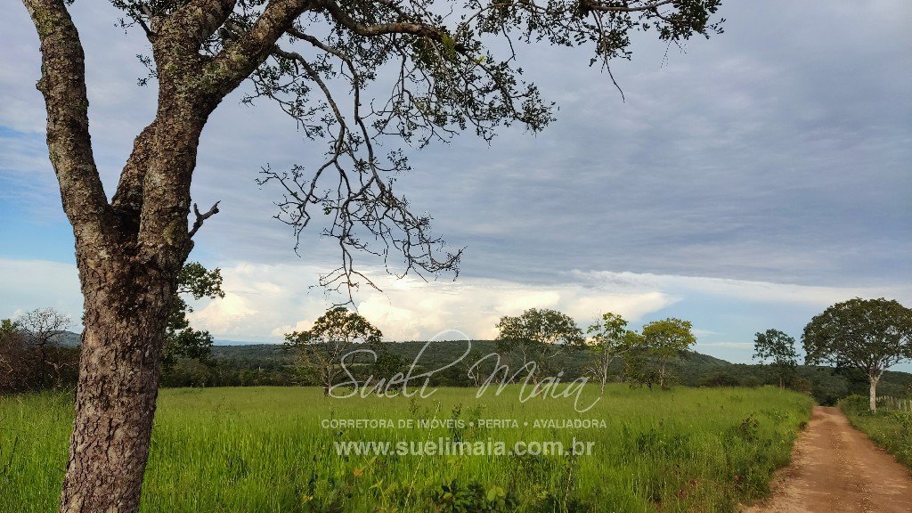 Fazendinha top de 24 alq (118 ha) – Minaçu/GO