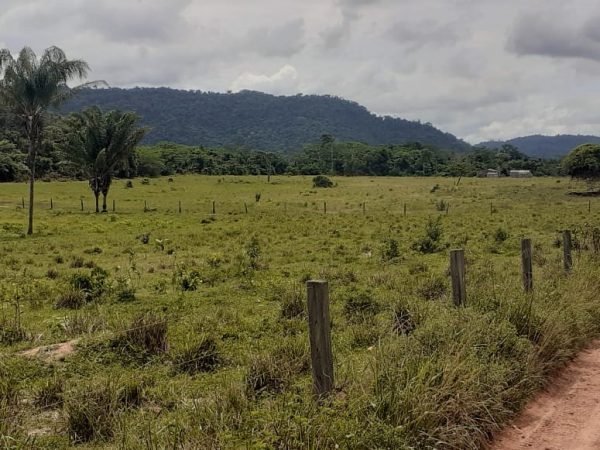 Fazenda 511 alq. p/ pecuária em São Félix do Xingu/PA