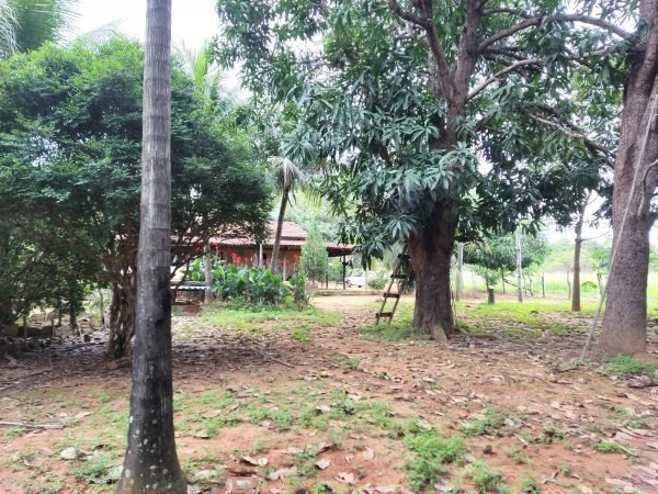 SÍTIO 15 ALQUEIRES C/ REPRESA – Pertinho da cidade