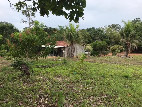 Fazenda de 50 alq. 100% plana – Dupla aptidão – 29 Km de Minaçu/GO
