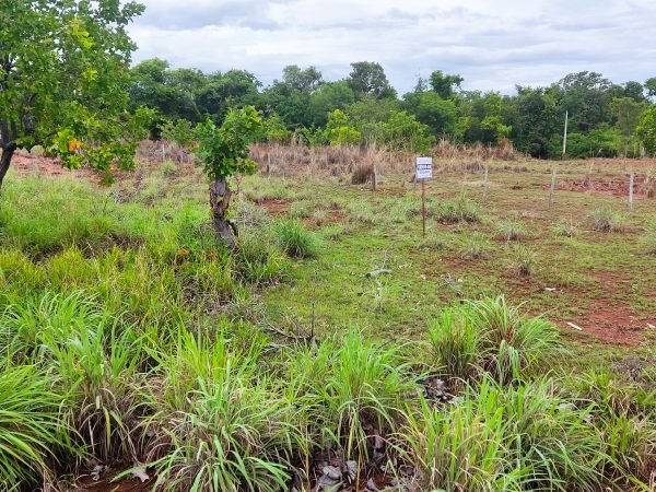 Terreno na entrada da Praia do Sol – 650m²